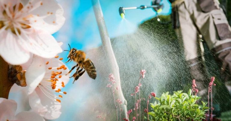 La pesadilla recurrente de las abejas: Glifosato 9 La pesadilla recurrente de las abejas: Glifosato