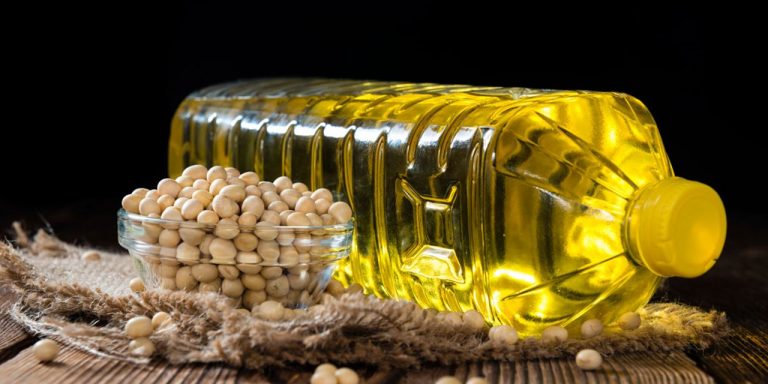 El aceite de soja causa obesidad, diabetes y cambios genéticos en el hipotálamo 8 El aceite de soja causa obesidad, diabetes y cambios genéticos en el hipotálamo