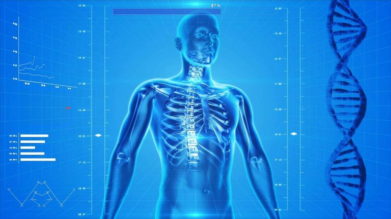 8 ejercicios de biohacking para acelerar el metabolismo y bajar de peso 2 8 ejercicios de biohacking para acelerar el metabolismo y bajar de peso