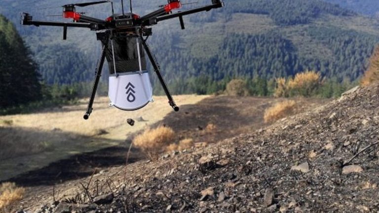Drones para compensar la deforestación en el planeta 4 Drones para compensar la deforestación en el planeta