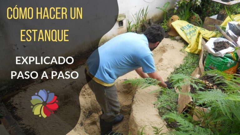 Cómo contruir un estanque en casa 1 Cómo contruir un estanque en casa
