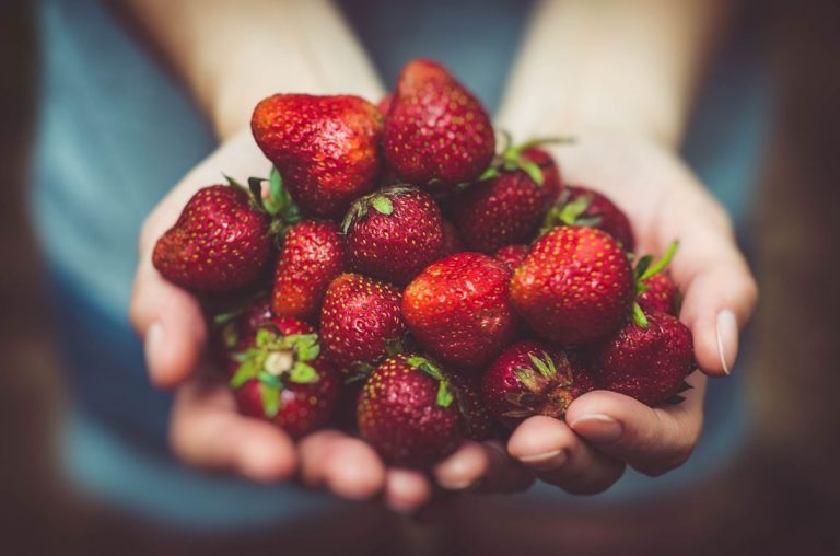 12 beneficios de comer fresas