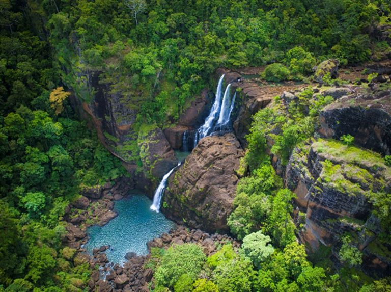 Impresionante video de Nueva Guinea, la isla con mayor diversidad de plantas del mundo 1 Impresionante video de Nueva Guinea, la isla con mayor diversidad de plantas del mundo