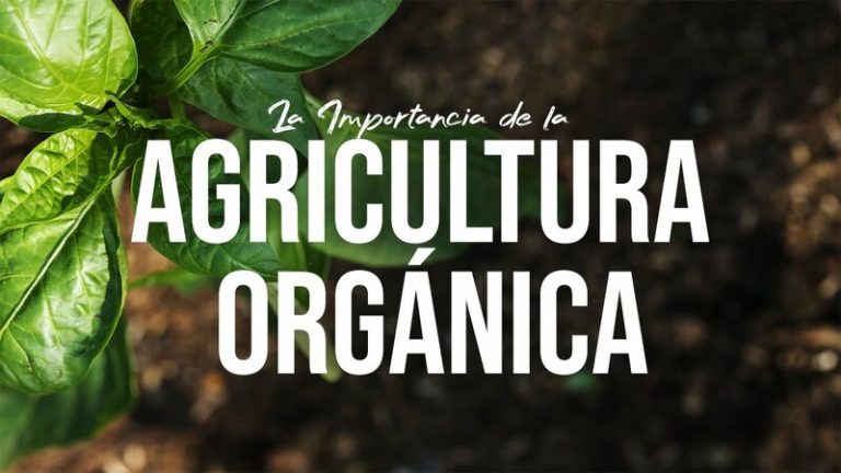 Una esperanza para el suelo, la agricultura orgáncia - Jairo Restrepo Rivera 7 Una esperanza para el suelo, la agricultura orgáncia – Jairo Restrepo Rivera