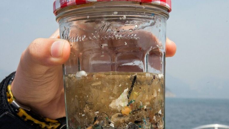 El océano Atlántico tiene más microplásticos que los que se creía 8 El océano Atlántico tiene más microplásticos que los que se creía