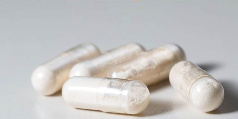Probióticos, las bacterias buenas para tu cuerpo 2 Probióticos, las bacterias buenas para tu cuerpo