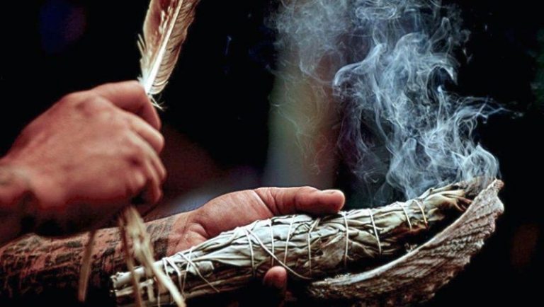 Purifica el aire de tu casa con salvia 7 Purifica el aire de tu casa con salvia