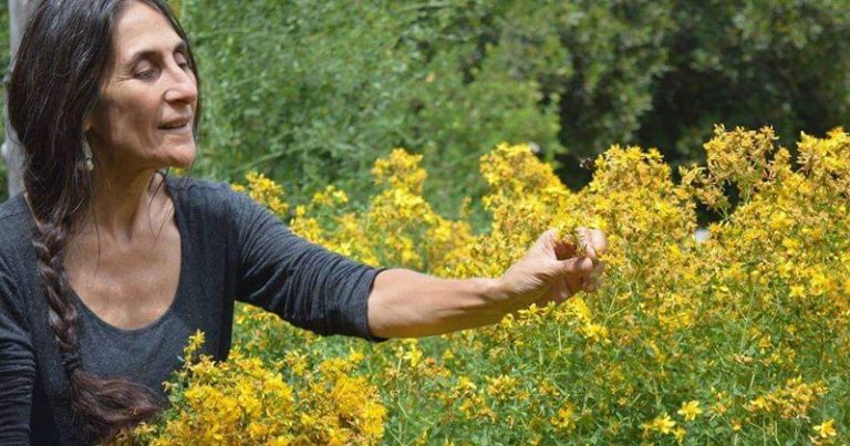 "Hay que volver a lo simple, las plantas sanan desde siempre" 9 «Hay que volver a lo simple, las plantas sanan desde siempre»