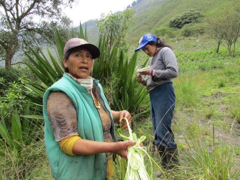 El cuidado de una campesina que conoce la ciudad 7 El cuidado de una campesina que conoce la ciudad