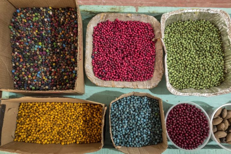 ¿Qué es el açai y como puede beneficiarnos? 6 ¿Qué es el açai y como puede beneficiarnos?