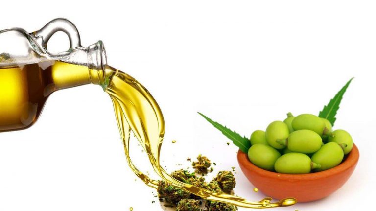 Cómo hacer tu propio pesticida de aceite de nim 9 Cómo hacer tu propio pesticida de aceite de nim
