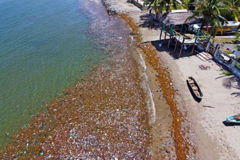 Un Tsunami de basura invadió las playas de Honduras 10 Un Tsunami de basura invadió las playas de Honduras