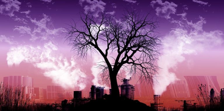 ONU: Acumulación de gases de efecto invernadero alcanzó un nuevo récord a pesar de los bloqueos 7 ONU: Acumulación de gases de efecto invernadero alcanzó un nuevo récord a pesar de los bloqueos