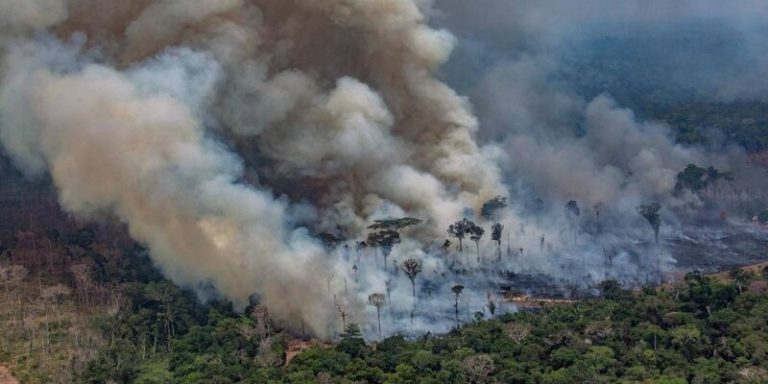 Otra vez se incendia el Amazonas, y está cerca de repetirse el desastre de 2019