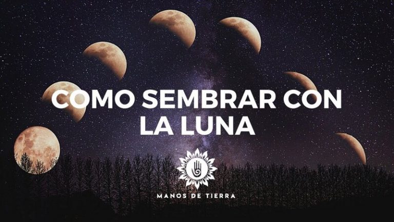 Como sembrar con la luna 1 Como sembrar con la luna