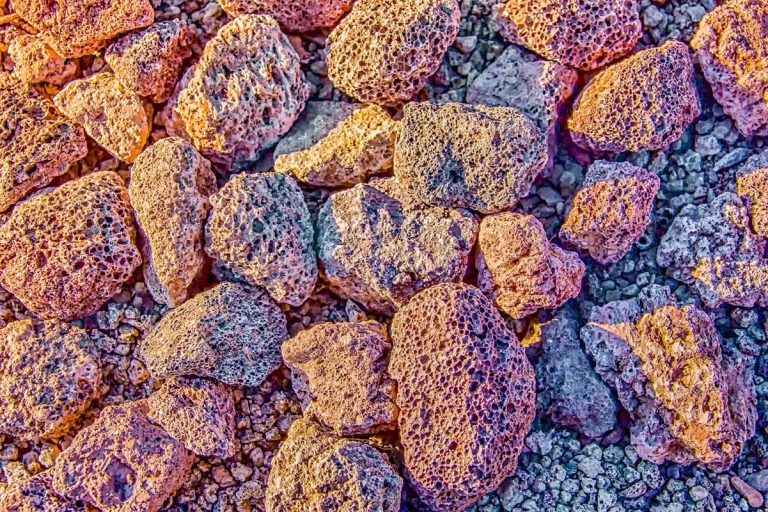 Piedra pómez para tus plantas: cómo aprovechar sus beneficios 4 Piedra pómez para tus plantas: cómo aprovechar sus beneficios