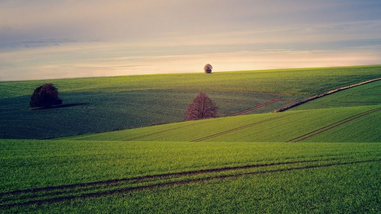 La expansión de la agricultura intensiva, amenaza el acuerdo climático de París