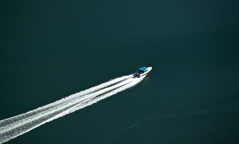 Estudio confirma que la contaminación acústica provoca daños diversos en los peces 7 Estudio confirma que la contaminación acústica provoca daños diversos en los peces