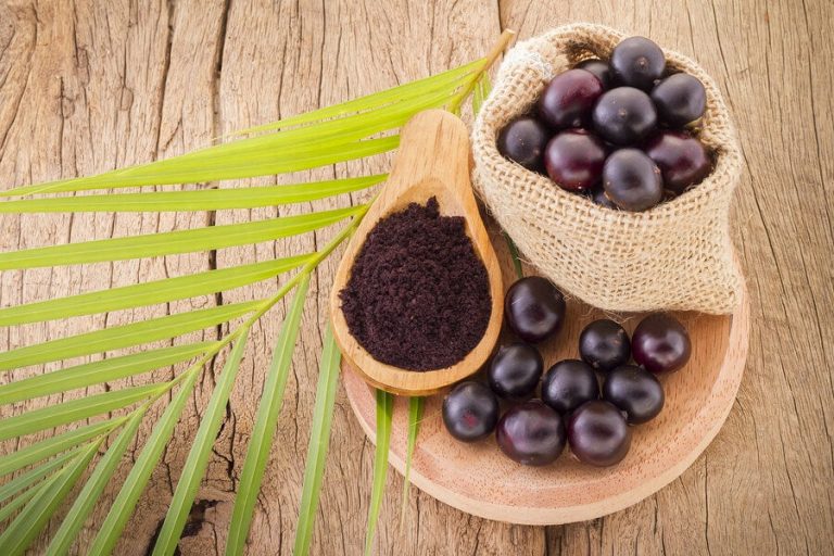 Una pequeña fruta con grandes beneficios: Açaí 8 Una pequeña fruta con grandes beneficios: Açaí