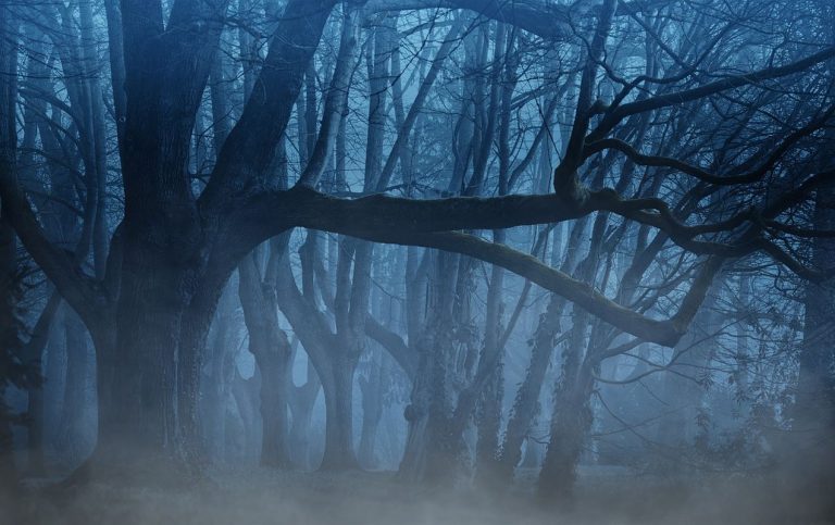 El calentamiento global calienta 'las noches más rápido que los días' 5 El calentamiento global calienta ‘las noches más rápido que los días’