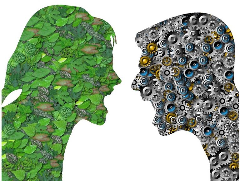 ¿Quieres algunos consejos ecológicos? Un nuevo estudio dice que no, no es así. 4 ¿Quieres algunos consejos ecológicos? Un nuevo estudio dice que no, no es así.