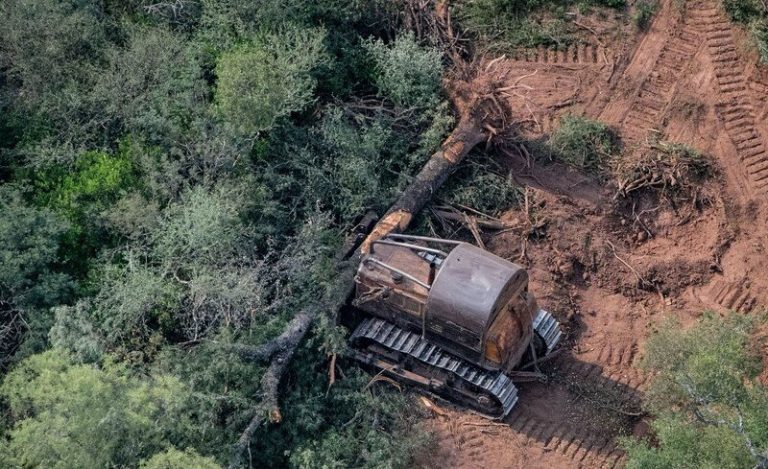 Suspendidos todos los permisos de desmontes en Chaco, Argentina 10 Suspendidos todos los permisos de desmontes en Chaco, Argentina