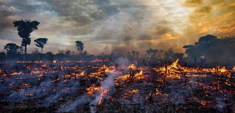 La Amazonía Brasileña otra vez en llamas, sufre incendios peores que en 2019 9 La Amazonía Brasileña otra vez en llamas, sufre incendios peores que en 2019