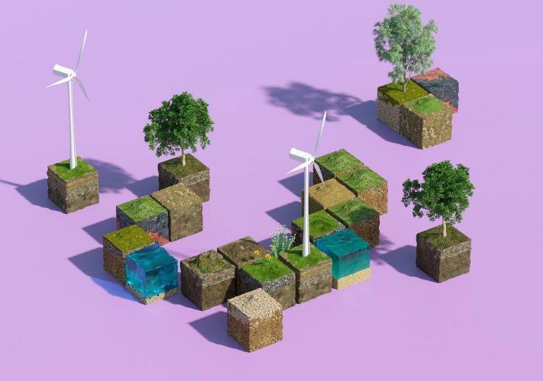 Devolver la mitad del planeta a la naturaleza, la solución climática más económica 4 Devolver la mitad del planeta a la naturaleza, la solución climática más económica