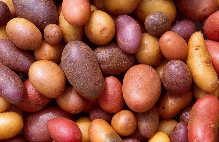 10 beneficios saludables del jugo de papa 4 10 beneficios saludables del jugo de papa