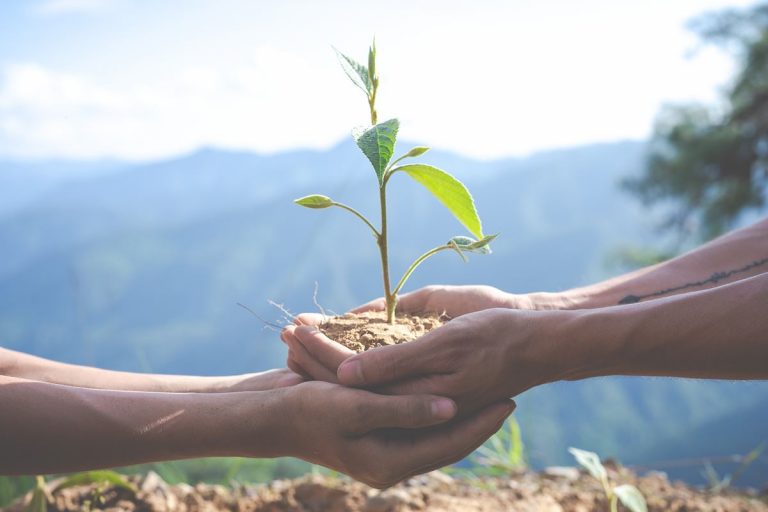 ¿Cómo implantar el ISO 14001? Paso por paso 2 ¿Cómo implantar el ISO 14001? Paso por paso