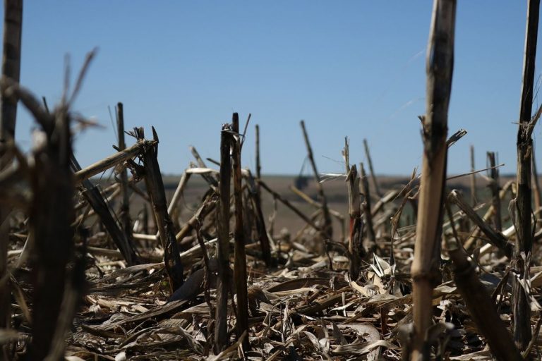 Descubren que el óxido nitroso es mucho peor para la atmósfera, que el CO2 9 Descubren que el óxido nitroso es mucho peor para la atmósfera, que el CO2