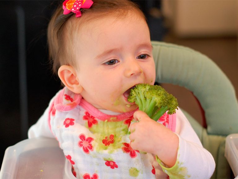 Qué es el “baby led weaning” (BLW) en la alimentación de bebés? 10 Qué es el “baby led weaning” (BLW) en la alimentación de bebés?