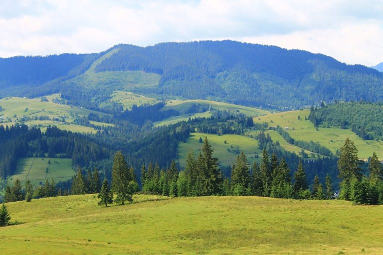 Convenio de los Cárpatos: un llamado a proteger los bosques europeos 5 Convenio de los Cárpatos: un llamado a proteger los bosques europeos