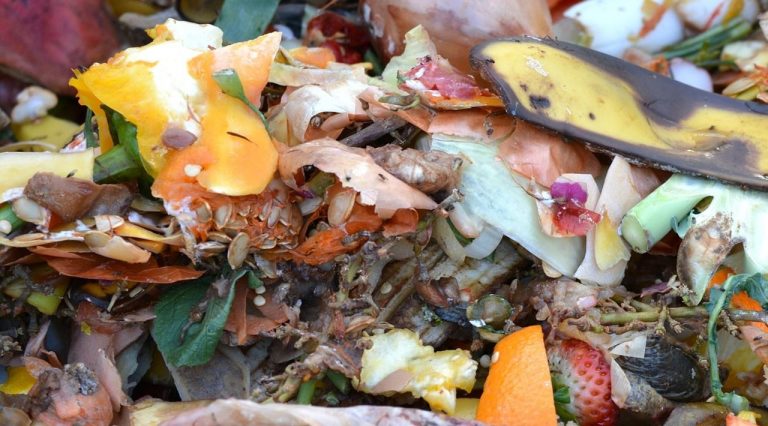 7 cosas que probablemente no sabías que puedes añadir al compost 7 7 cosas que probablemente no sabías que puedes añadir al compost