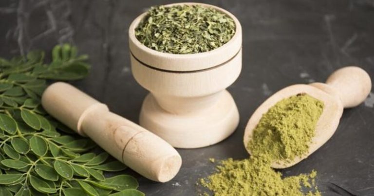 La moringa contiene nutrientes que aportan al estado inmunológico para combatir el COVID-19 4 La moringa contiene nutrientes que aportan al estado inmunológico para combatir el COVID-19