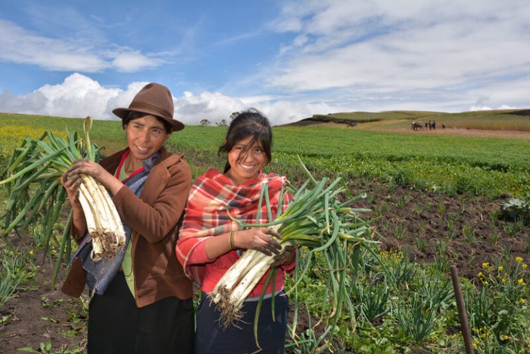 La agricultura campesina produce el 70% de los alimentos con el 25% de la tierra