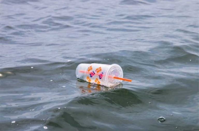 Cómo tú puedes ayudar a proteger los océanos 3 Cómo tú puedes ayudar a proteger los océanos
