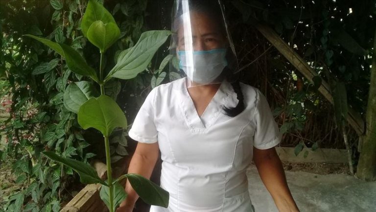 Y después de la vacuna ¿qué?: las plantas ancestrales frente al nuevo coronavirus