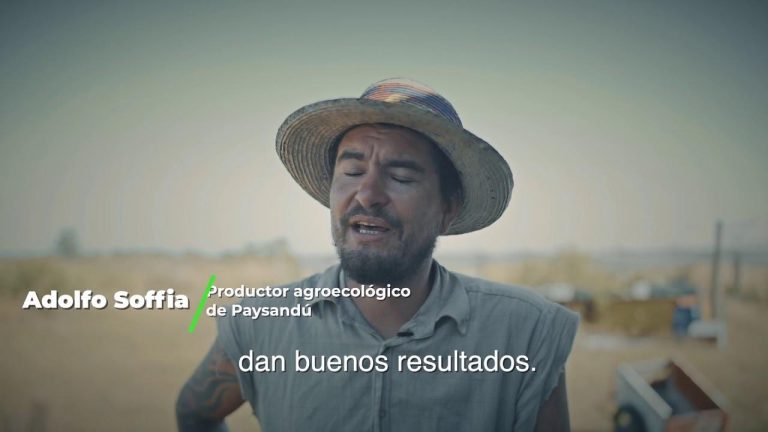 ¿Qué semilla germinó para que comieras hoy? 4 ¿Qué semilla germinó para que comieras hoy?