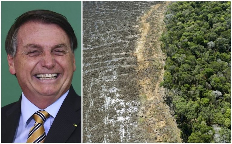La deforestación del Amazonas en Brasil, se dispara a su máximo de 12 años con Bolsonaro 9 La deforestación del Amazonas en Brasil, se dispara a su máximo de 12 años con Bolsonaro