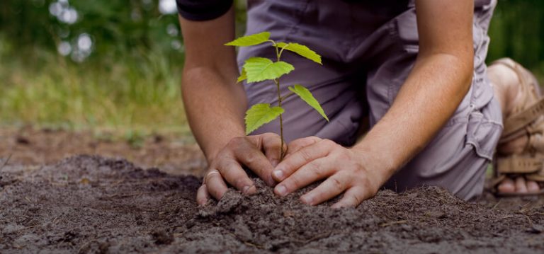 "Plantar un árbol nos saca de la ansiedad y el egoísmo de la vida moderna" 6 «Plantar un árbol nos saca de la ansiedad y el egoísmo de la vida moderna»