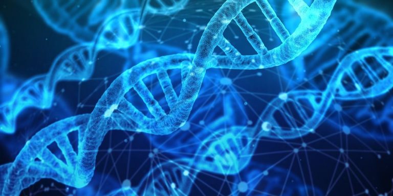 Qué le sucede a tu cuerpo, si no comes suficientes proteínas 6 Qué le sucede a tu cuerpo, si no comes suficientes proteínas