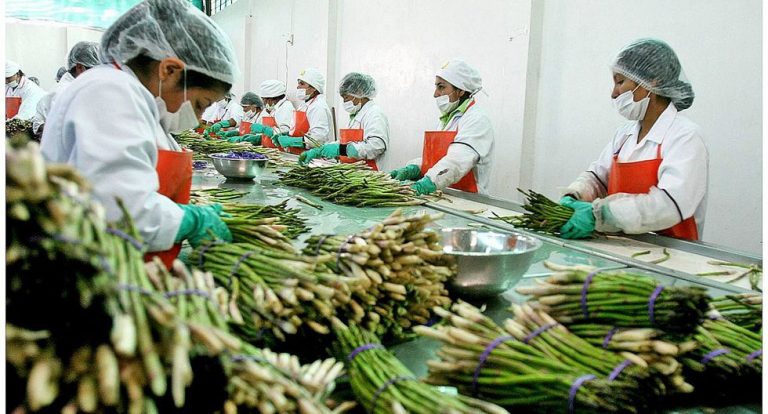 Los límites del modelo agroindustrial 5 Los límites del modelo agroindustrial