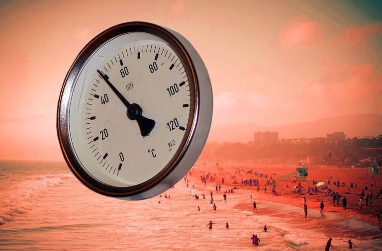 Nuevo record: El año 2020 fue el más caluroso registrado en la historia
