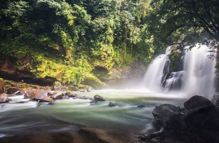 Costa Rica prohibirá los plásticos de un solo uso 4 Costa Rica prohibirá los plásticos de un solo uso