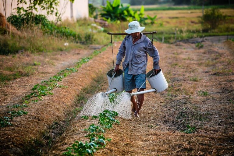 Cómo los agricultores pueden reducir su impacto ambiental