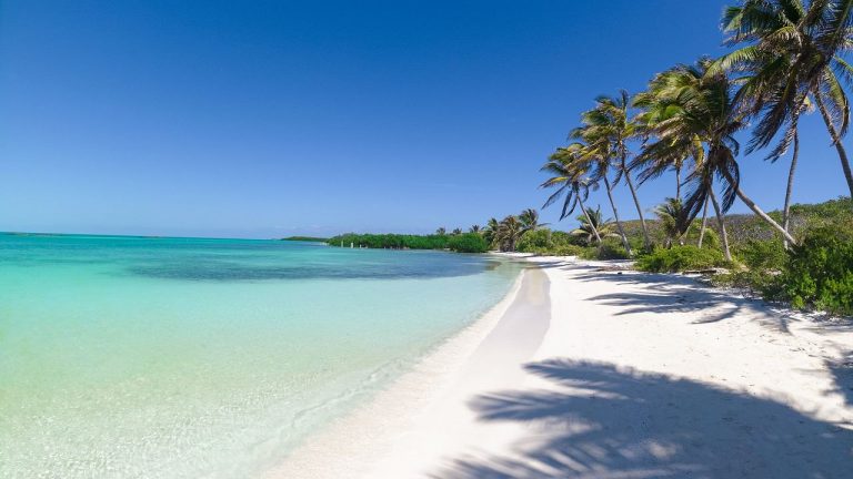 Cómo la pandemia ha aliviado la contaminación en las playas de Cancún 8 Cómo la pandemia ha aliviado la contaminación en las playas de Cancún