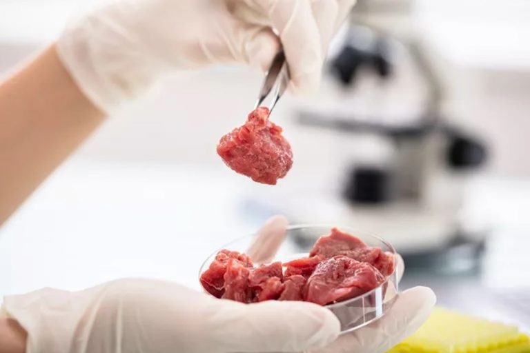 Singapur aprobó la venta de carne cultivada en laboratorio. ¿Problema o solución? 3 Singapur aprobó la venta de carne cultivada en laboratorio. ¿Problema o solución?