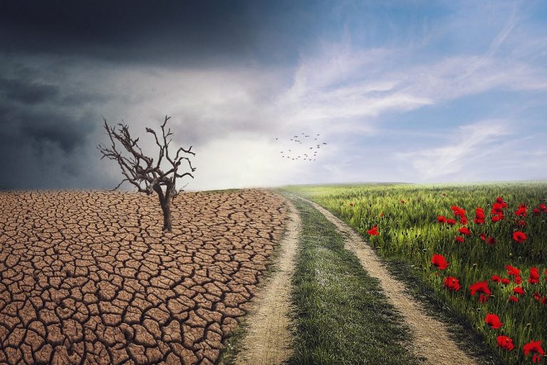 Muchos ecosistemas terrestres se acercan peligrosamente al punto de inflexión 6 Muchos ecosistemas terrestres se acercan peligrosamente al punto de inflexión