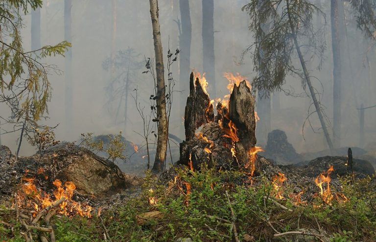 Advertencia de la ONU: La adaptación a la crisis climática es «demasiado lenta»